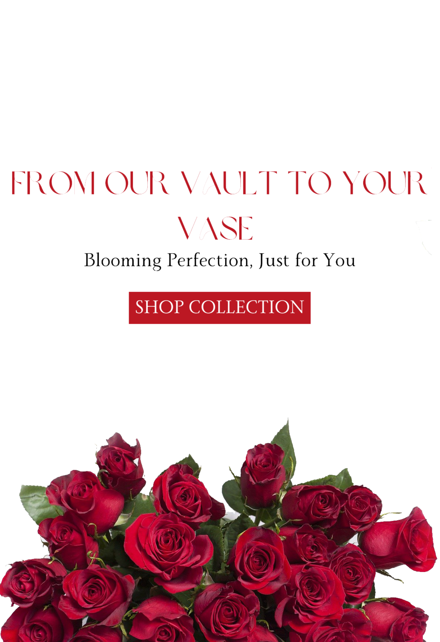 For Our Vault to Your Vase. Blooming Perfection, Just for You. Shop Collection!